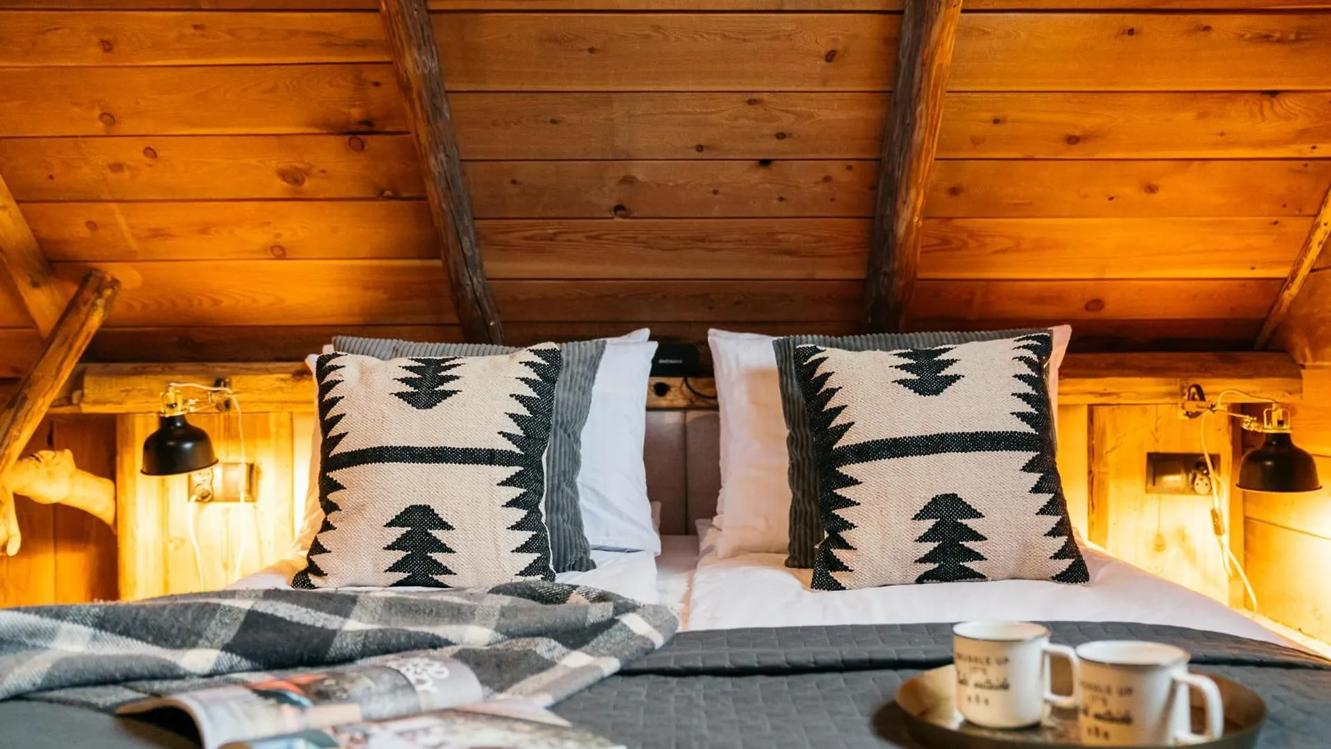 Willa Mountain Shelter Zakopane Polska